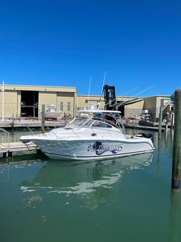 Boat photo for Snorkel for Lobsters, Key West, FL