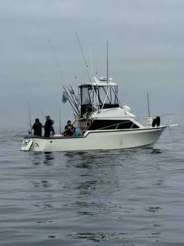 Boat photo for 6 Hour Local Fishing PM