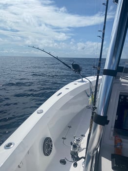 Boat photo for Afternoon 4 hr Trip - Deep Sea Fishing