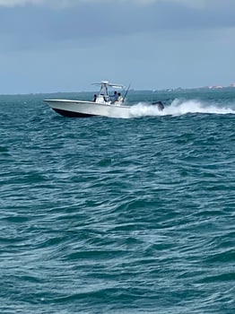 Boat photo for Afternoon 4 hr Trip - Deep Sea Fishing