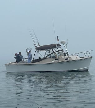 Boat photo for Shinnecock Bay Inshore