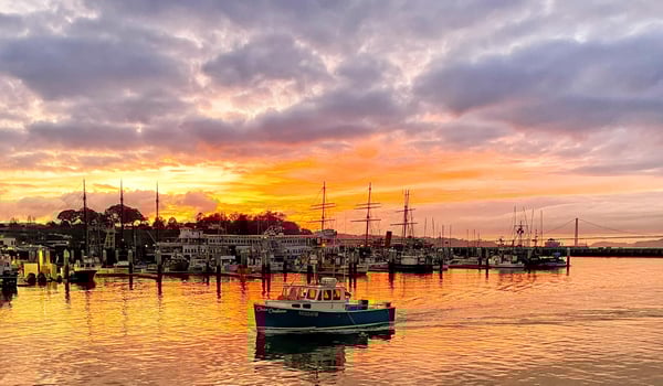 Boat photo for Halibut / Striped Bass Combo