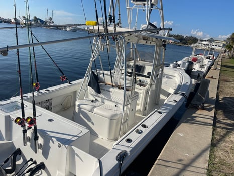 Boat photo for Day Trips