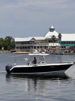 Boat photo for Day Trips