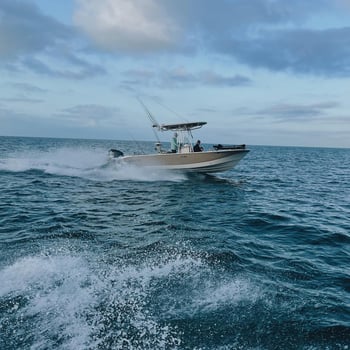 Boat photo for Clearwater Light Tackle & Big Thrills!