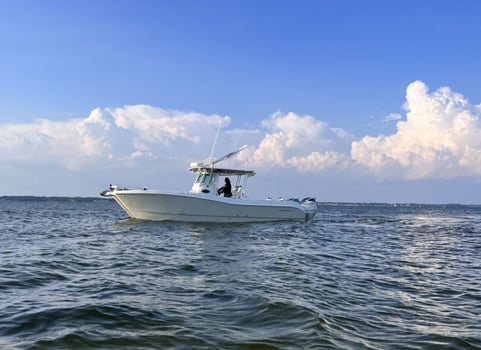 Boat photo for Reel in happiness Offshore Trip