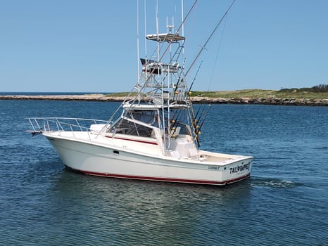 Boat photo for Shark Fishing Long Island