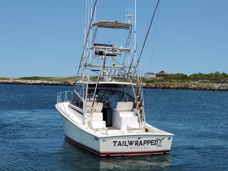 Boat photo for Shark Fishing Long Island