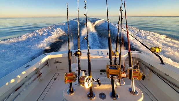 Boat photo for Wreck Fishing/bottom fishing