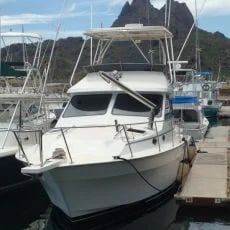 Boat photo for Best Damn Fishing in San Carlos