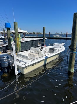 Boat photo for INSHORE/NEARSHORE FISHING