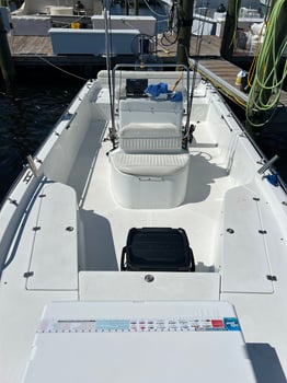 Boat photo for INSHORE/NEARSHORE FISHING
