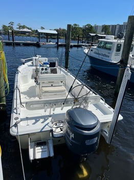 Boat photo for INSHORE/NEARSHORE FISHING