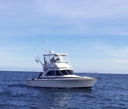 Boat photo for 4 HR inshore trolling.  AM or PM 