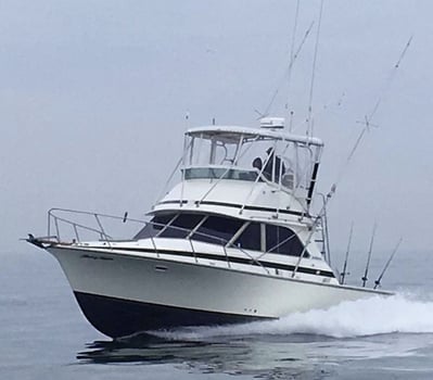 Boat photo for 4 HR inshore trolling.  AM or PM 