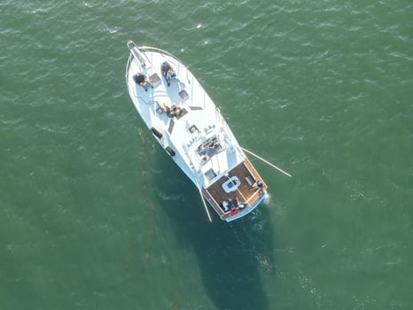 Boat photo for San Diego Nearshore / Offshore Trip