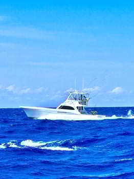 Boat photo for Half Day Nearshore Trip