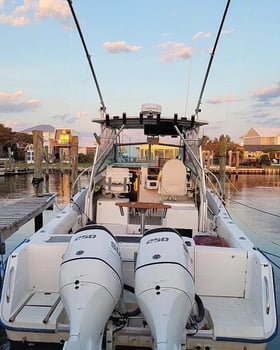Boat photo for 6-8 Hours Offshore Fishing Trip