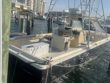 Boat photo for Family Fun Day Fishing / Island 37'