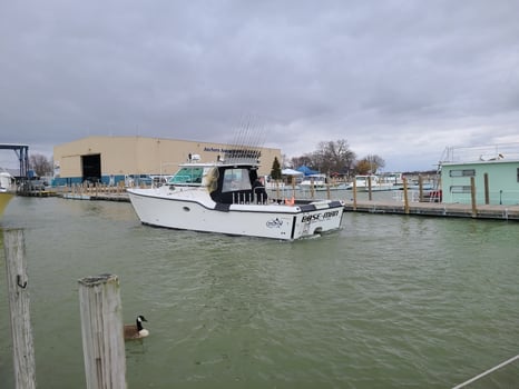 Boat photo for Morning Wallaye or Perch charter