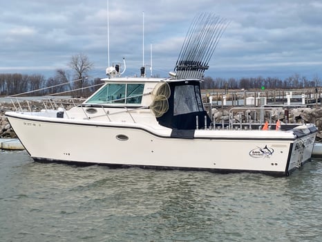 Boat photo for Morning Wallaye or Perch charter