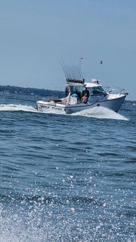 Boat photo for Morning Wallaye or Perch charter