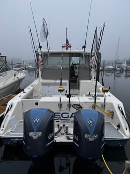 Boat photo for 4 Hour Inshore Trip