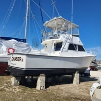 Boat photo for Half/Full Day Trip – Striped Bass