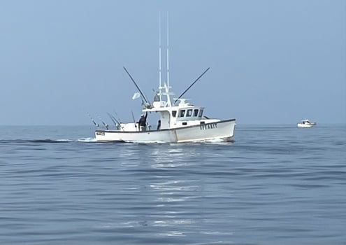 Boat photo for Block Island 6 HR