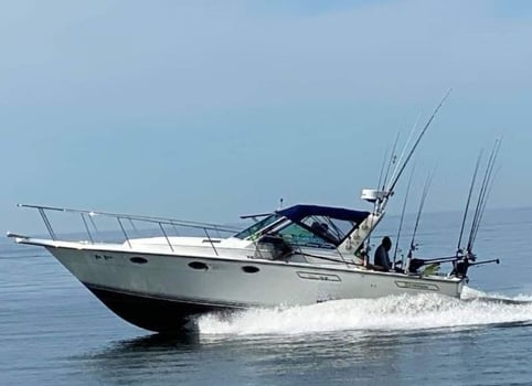 Boat photo for 4-7 Hour Trip