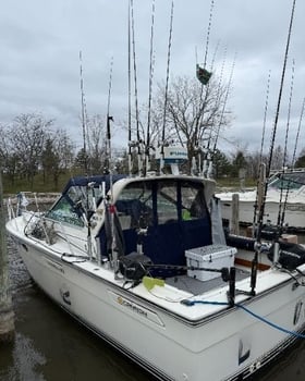 Boat photo for 4-7 Hour Trip