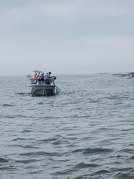 Boat photo for Texas City Shark Trip