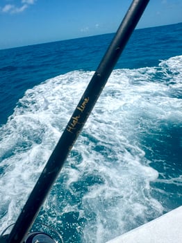 Boat photo for 4-6 Hour Reef