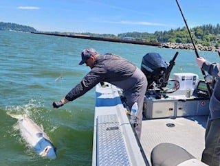 Boat photo for Portland Salmon Fishing