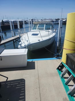 Boat photo for 6 Hour Multi-Species Trip