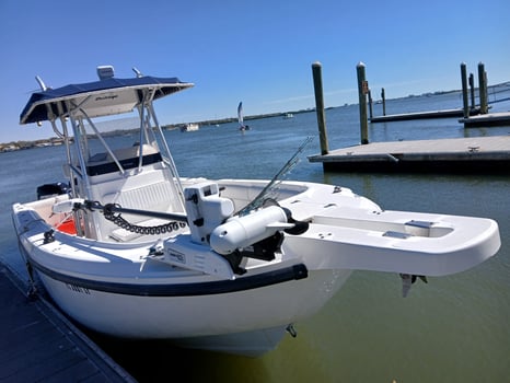 Boat photo for Shark Fishing 4-8 hours (26')