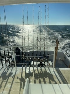 Boat photo for Reel in Fun with Captain Chase