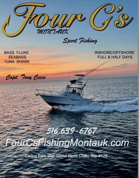 Boat photo for Half day inshore