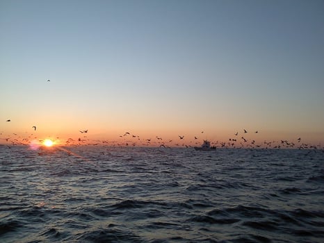 Boat photo for 8 Hour Trip – Fluke/Striped Bass