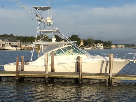 Boat photo for 8 Hour Trip – Fluke/Striped Bass