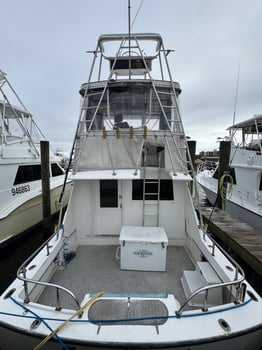Boat photo for 6 hr Red Snapper Bottom Fishing 