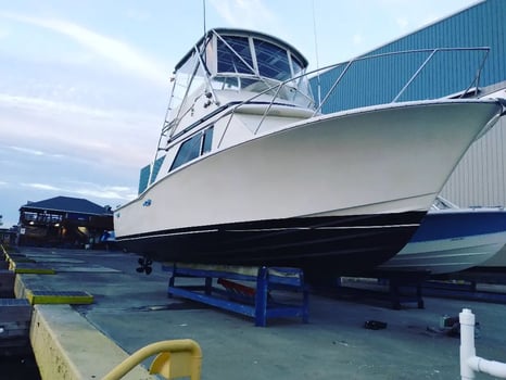Boat photo for Shark Jetty Trip (Catch & Release)