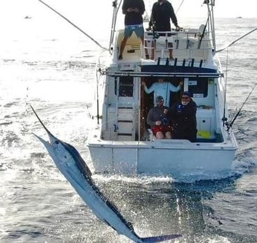Boat photo for Cabo VIP Fishing - 32’ Luhrs