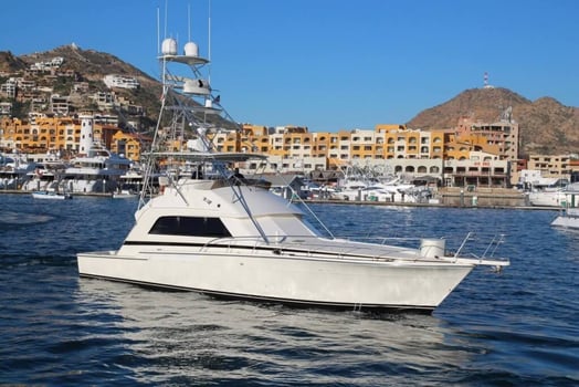 Boat photo for Cabo VIP Trip - 60’ Bertram 4-8hrs