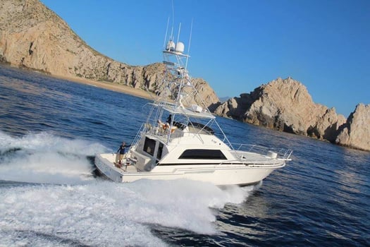 Boat photo for Cabo VIP Trip - 60’ Bertram 4-8hrs