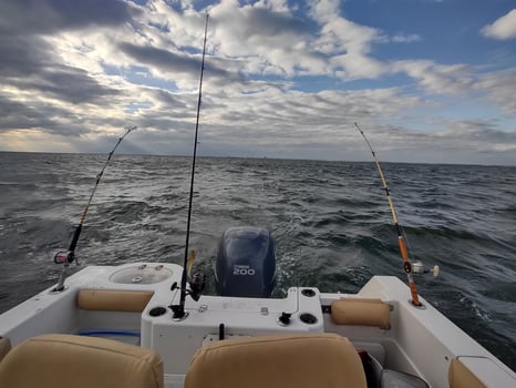 Boat photo for Ocean Wreck And Reef Fishing