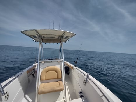 Boat photo for Ocean Wreck And Reef Fishing