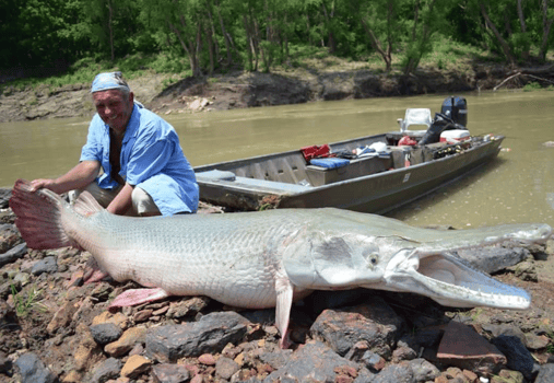 Boat photo for World Record Alligator Gar