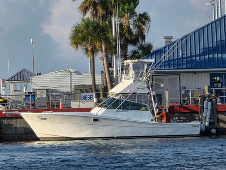 Boat photo for 6-10 Hour Trip – Bottom Fishing
