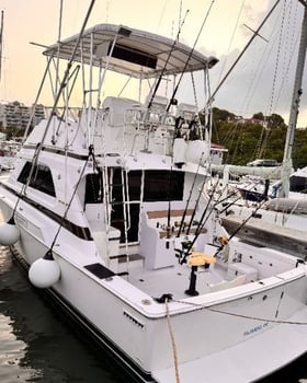 Boat photo for 4 Hr - Private Fishing Trip